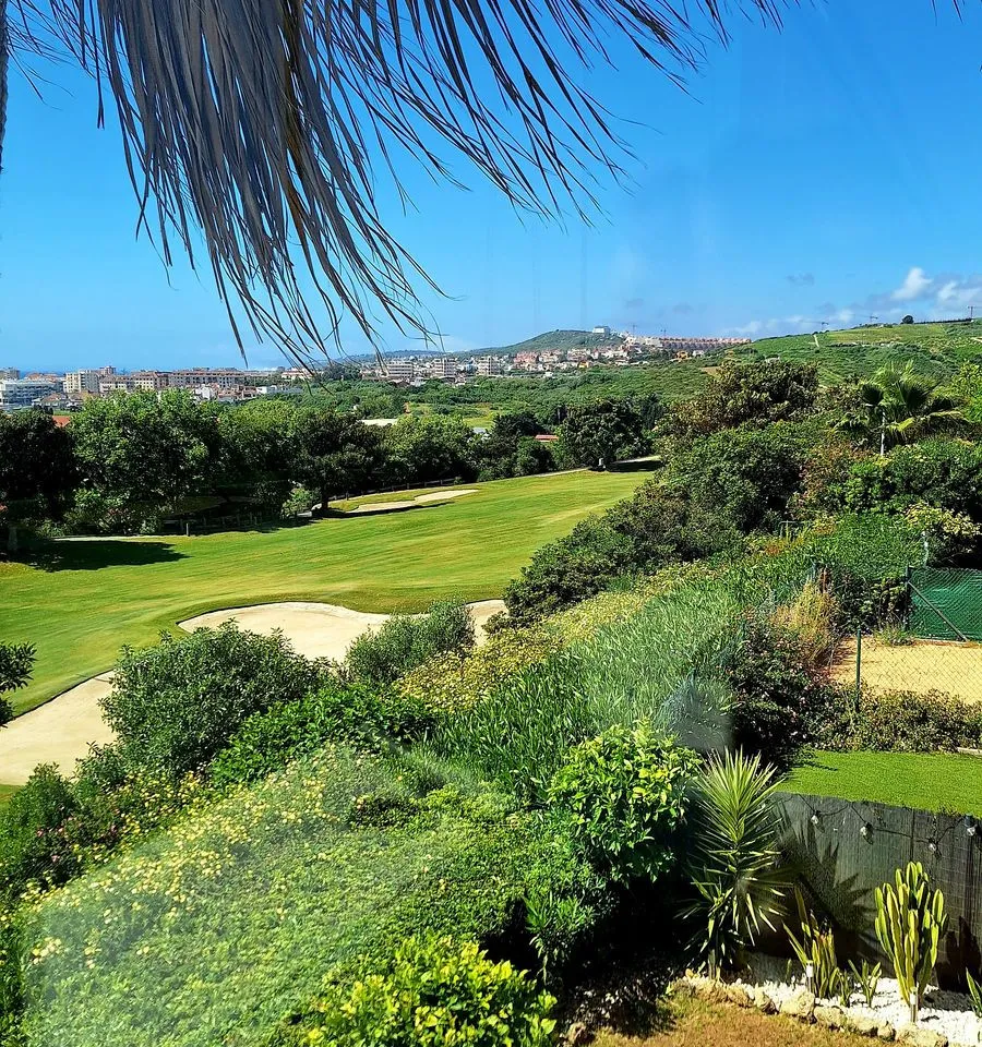 8ae45f9b-4fff-4b23-a122-c149aa11bcd7