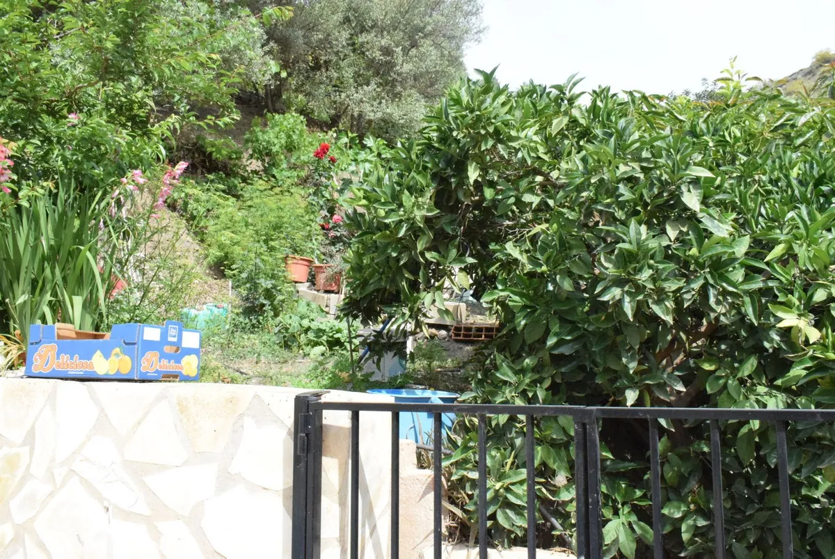 230a0885-2c79-434b-b737-c7417a18ca3c