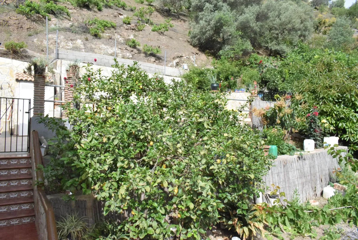 ad5d681f-44d7-4710-b014-5f70d8c99fa5