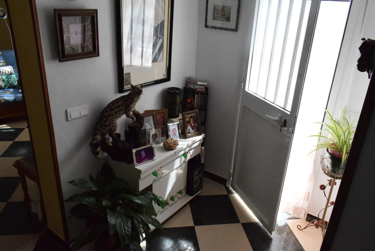 de5b41aa-579a-40fb-a32b-323bd1c4b554