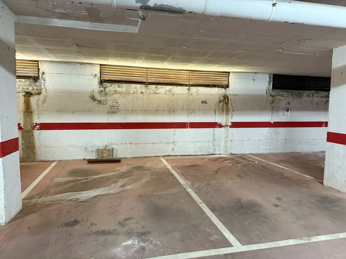 4abb8957-781d-48e4-ae11-56f4ff53e15b