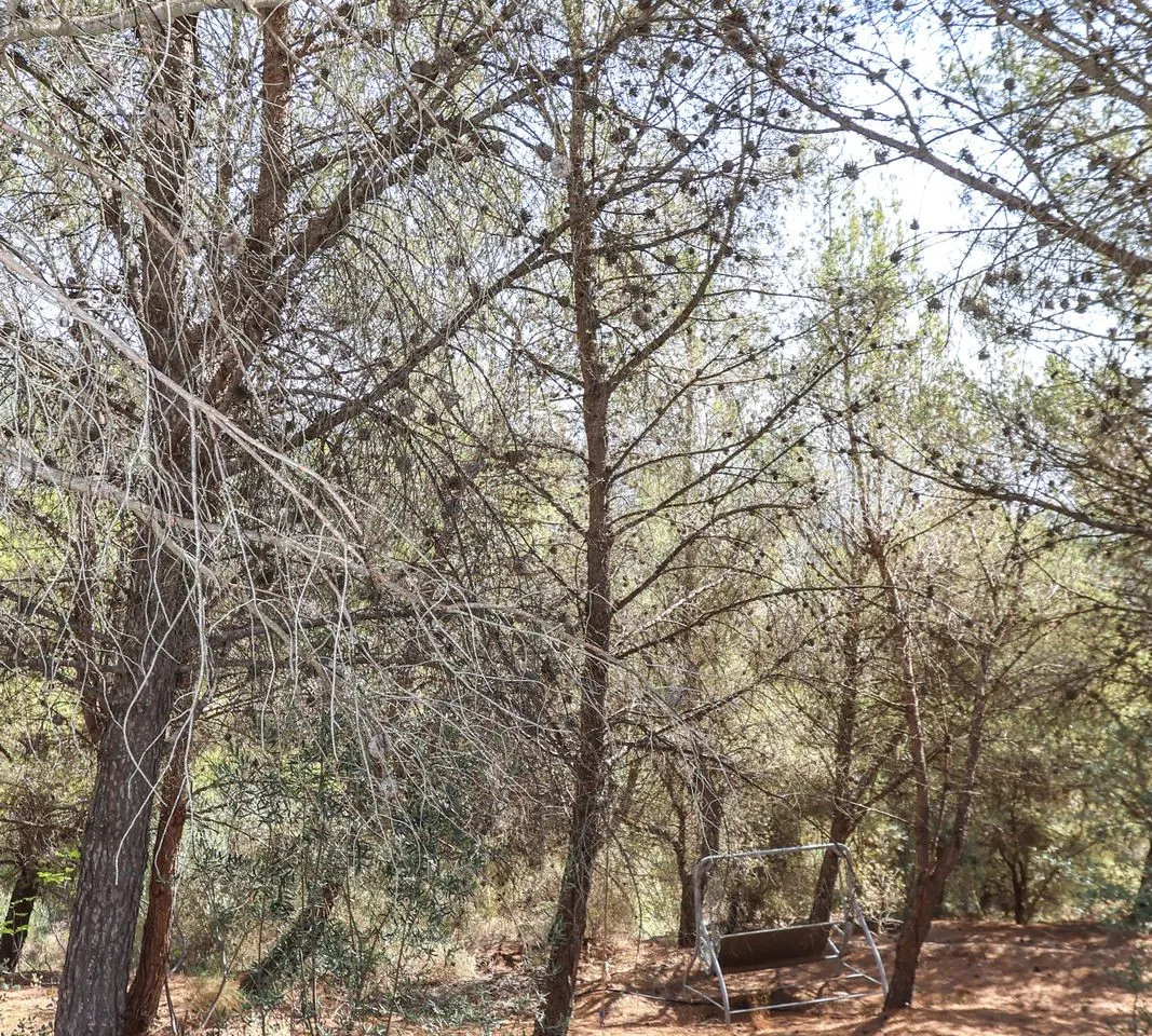 f96a386f-a810-4628-94bc-55d7dfacd001