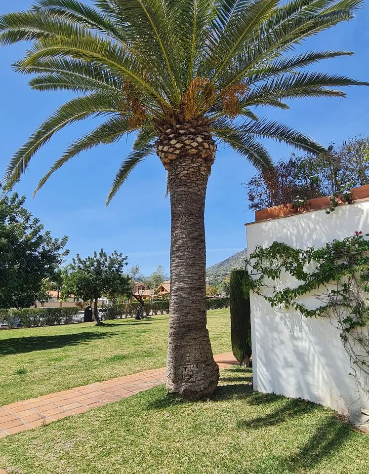 2d768fa2-4414-42fe-b936-18ae9d1128cd