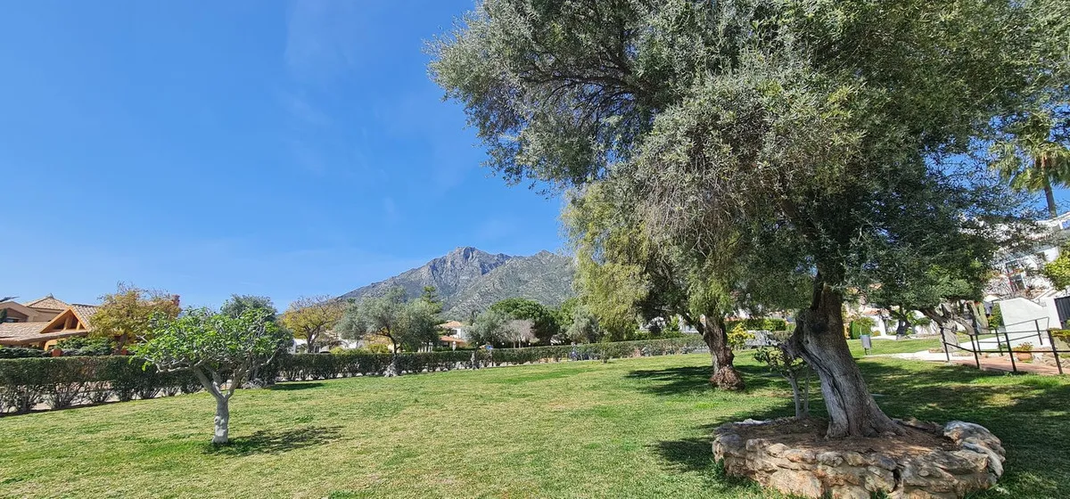 32d21052-66f9-432c-a610-70353c752a69