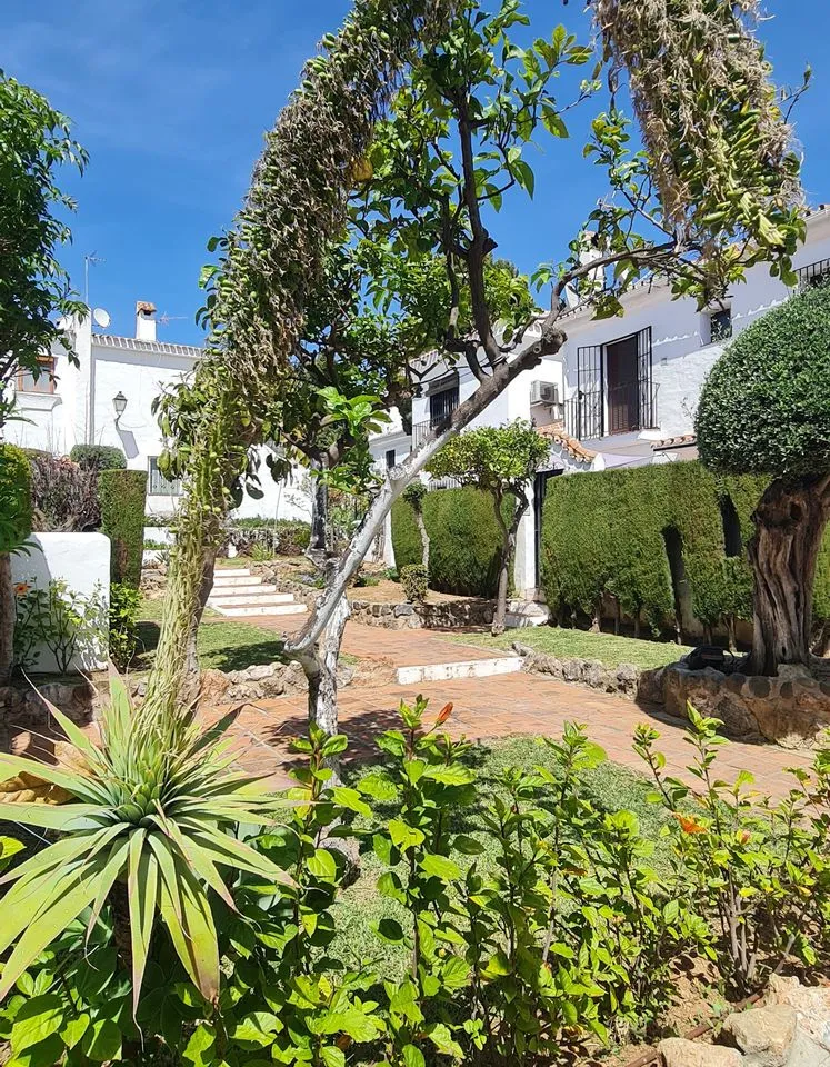 51483277-256d-4cd2-9ced-039d7ed80822