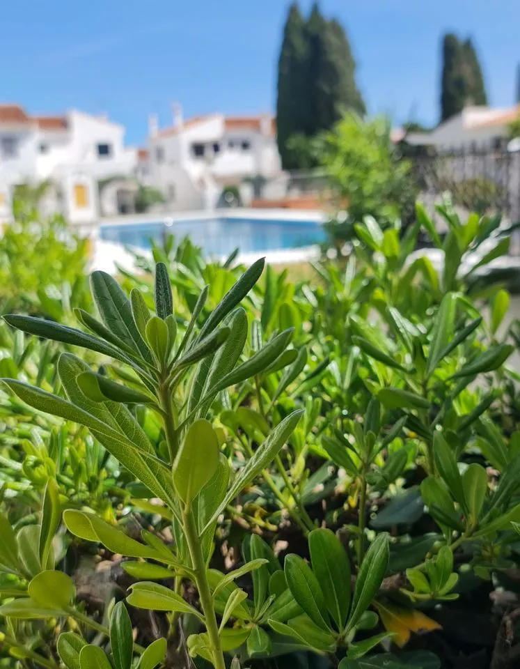 5ff812a8-febb-4b6a-9733-6b275a973380