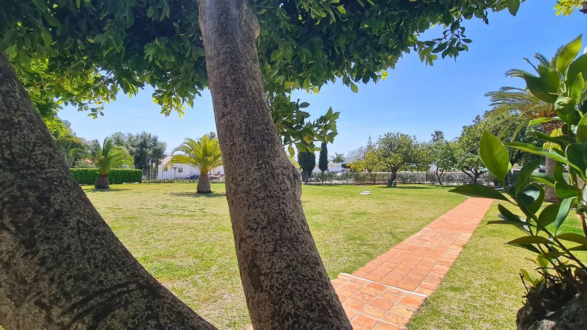 65027d74-3479-4360-8256-56d8264ff2ed