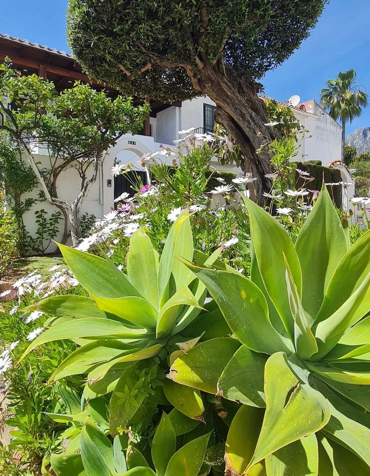 a717356e-0f3a-4041-b658-4ec17ca8ce30