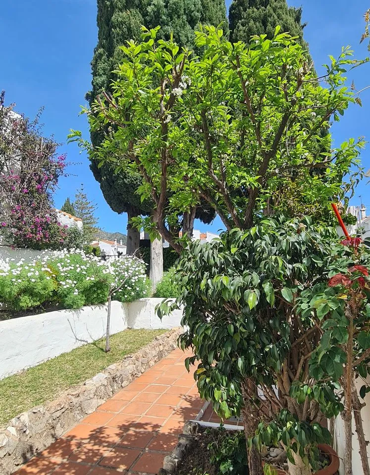 de1481a8-11c9-4fe3-8094-03f29bc4cf29