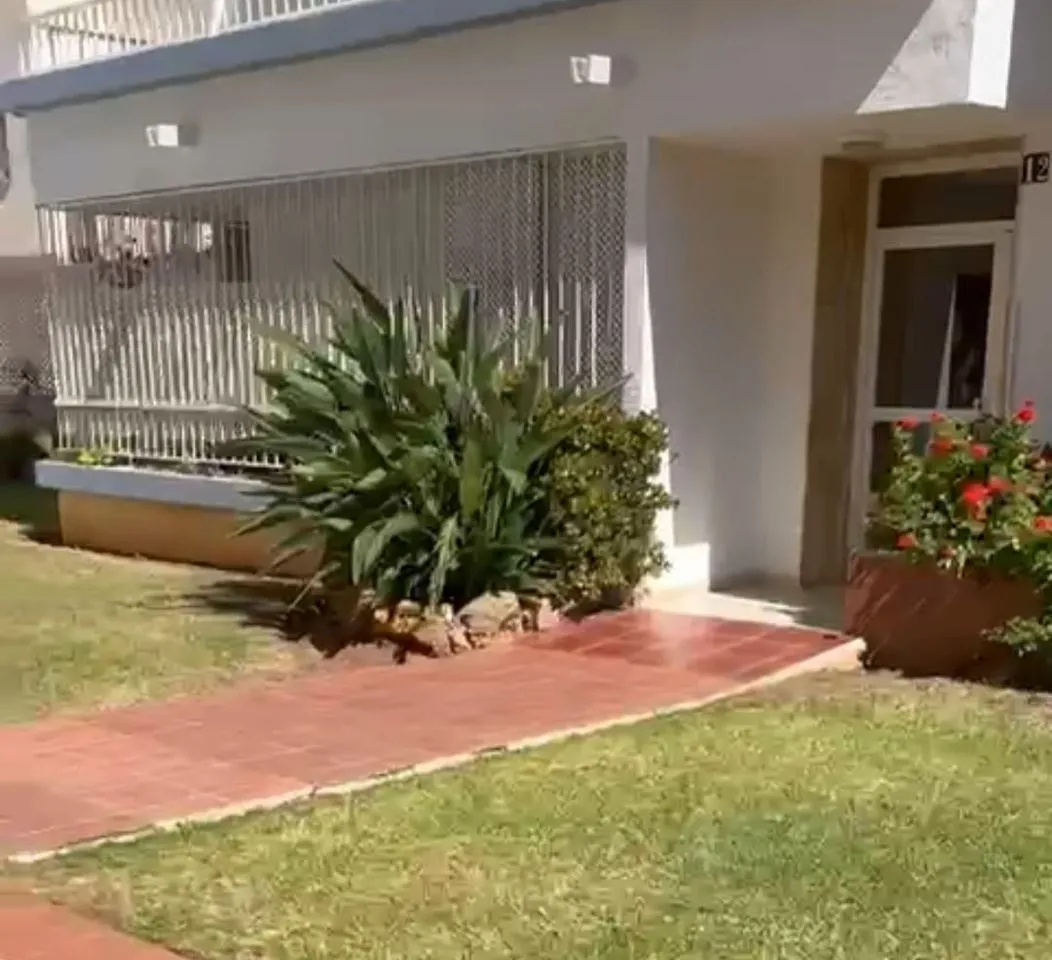 7c90c00a-225c-4754-ac95-e4afa9b845d0