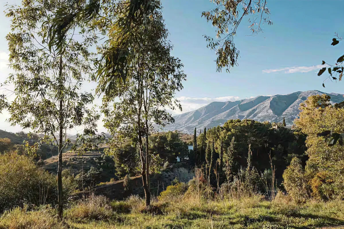 c7987542-8707-401b-bcc9-cc607c4118bc