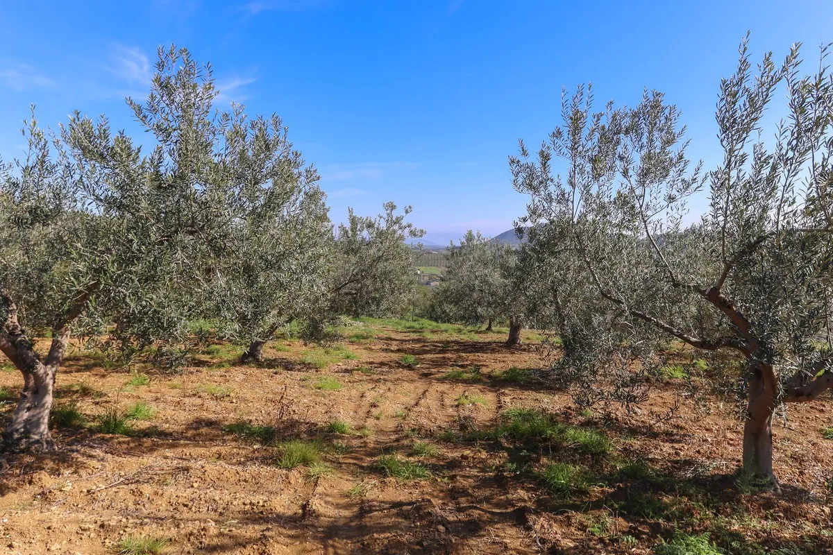 3cd1914e-e426-4ccc-8f79-dfaf7d6d5b1c