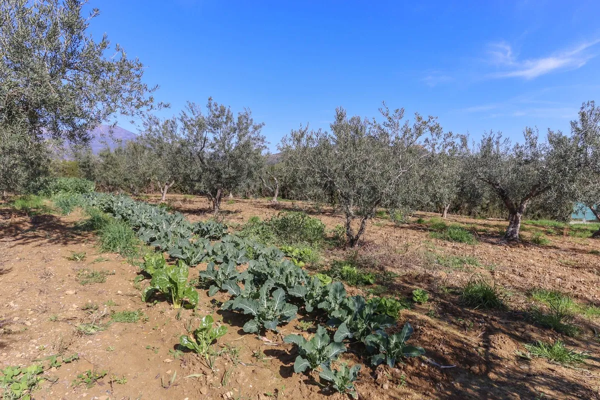 a063bd8d-66e0-4492-8b4f-35be945dd58e