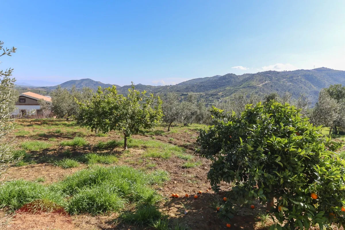 efea1b55-e519-42fd-8f5b-b9a853ae9983