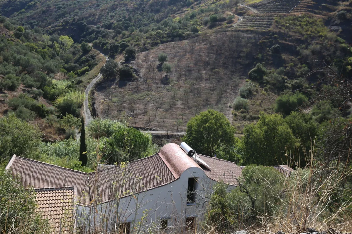 0e3f484b-9f0b-4a71-a515-631a89385962