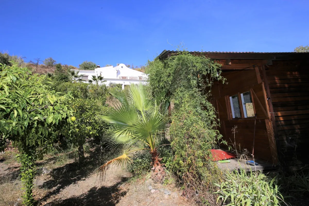 cfb28840-435b-4ca2-ae41-d73fcb39e77a