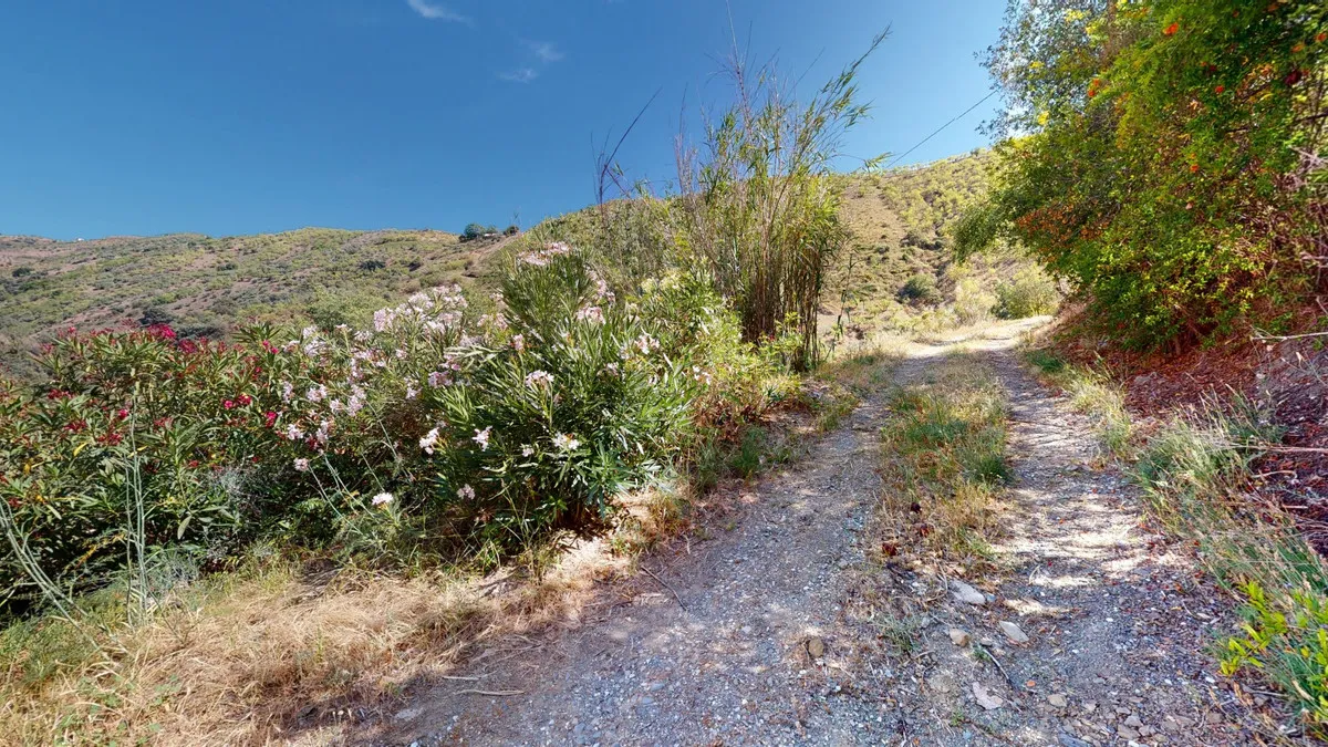 f873c15d-a2f5-4f9c-99b2-7d685cd49adf