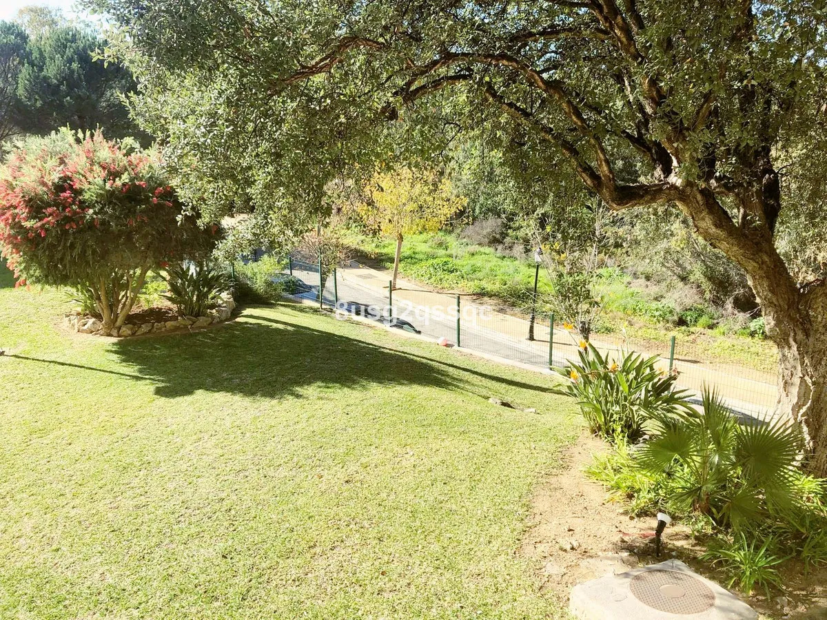 745b153a-c60b-423a-badf-1fa98f11f05f