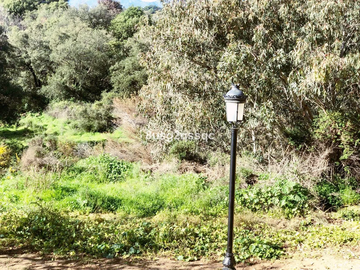 bf8cd874-db85-4f0c-976a-9dad5b70e26b