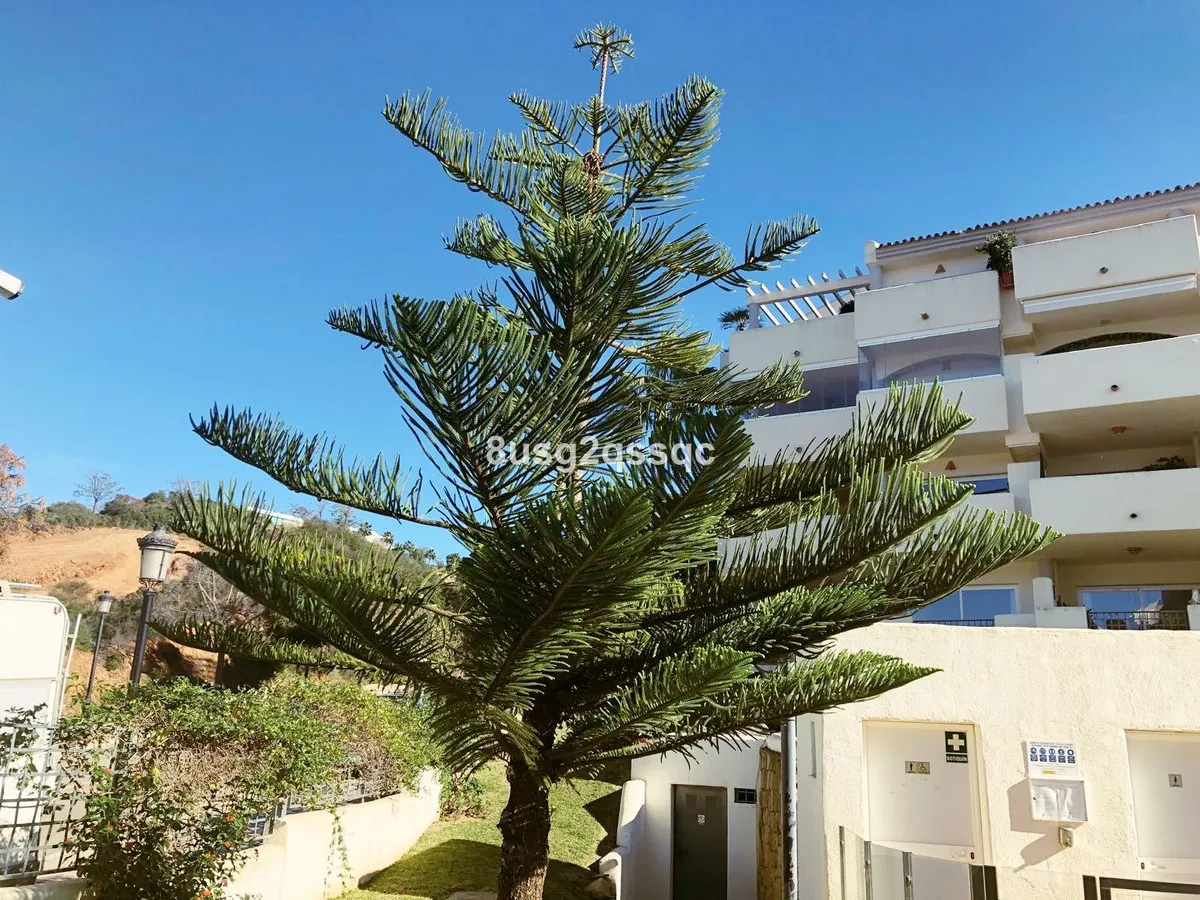 d863f9c9-13ee-411b-a39c-60736d4321a5