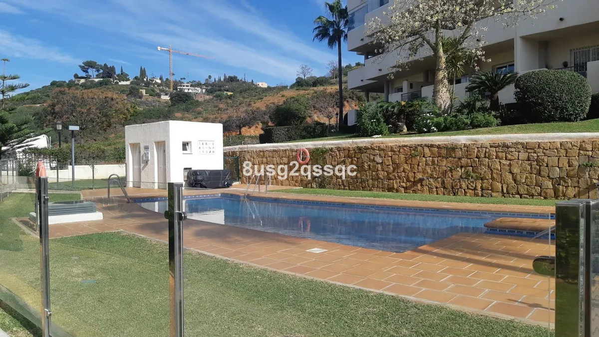 e7970db1-17c8-41fa-9fc0-7bf315a02cde