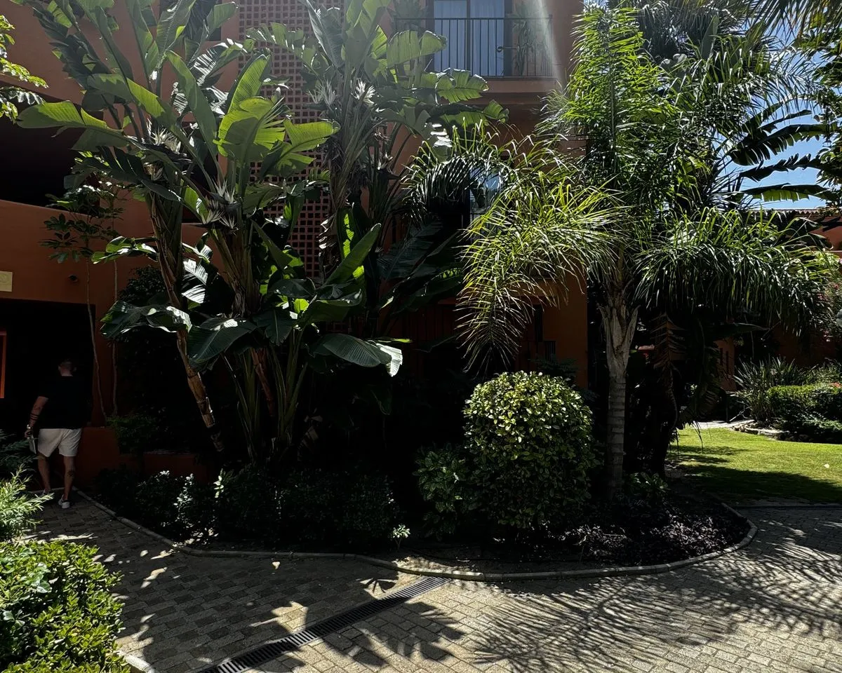 24d79615-817d-430c-9bf8-6f8a53613862