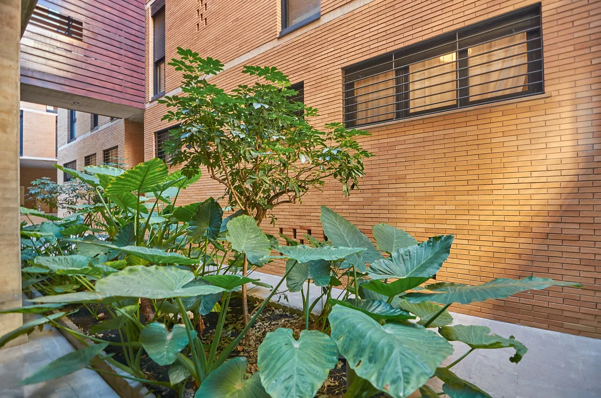 546507c9-d356-4ced-a5a8-bee39efdc315