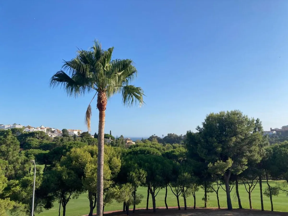 500e1082-b856-4911-b519-4953dc9ffe87