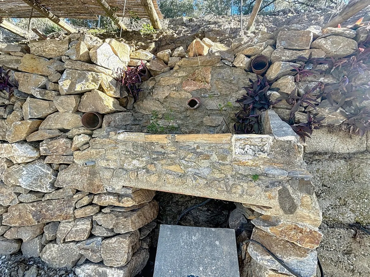 2ef0c2d5-bfa0-426d-8104-1ea0986b7070