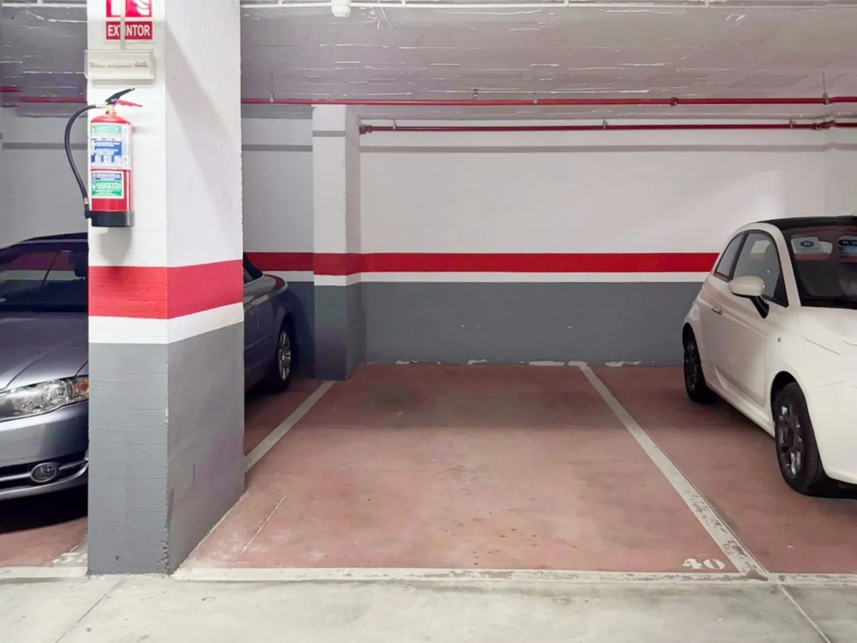 2522455d-7080-4d50-88ea-f94829049fa4