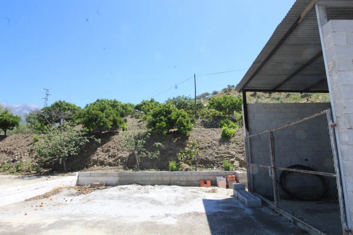 984126be-a705-4843-af78-c6166e5d0dc3