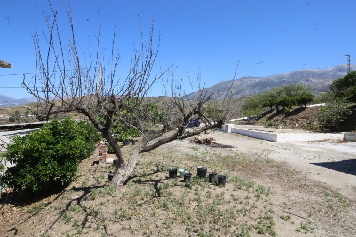 f1fa46c2-29c7-4ba7-8acb-7e2df41a62e0