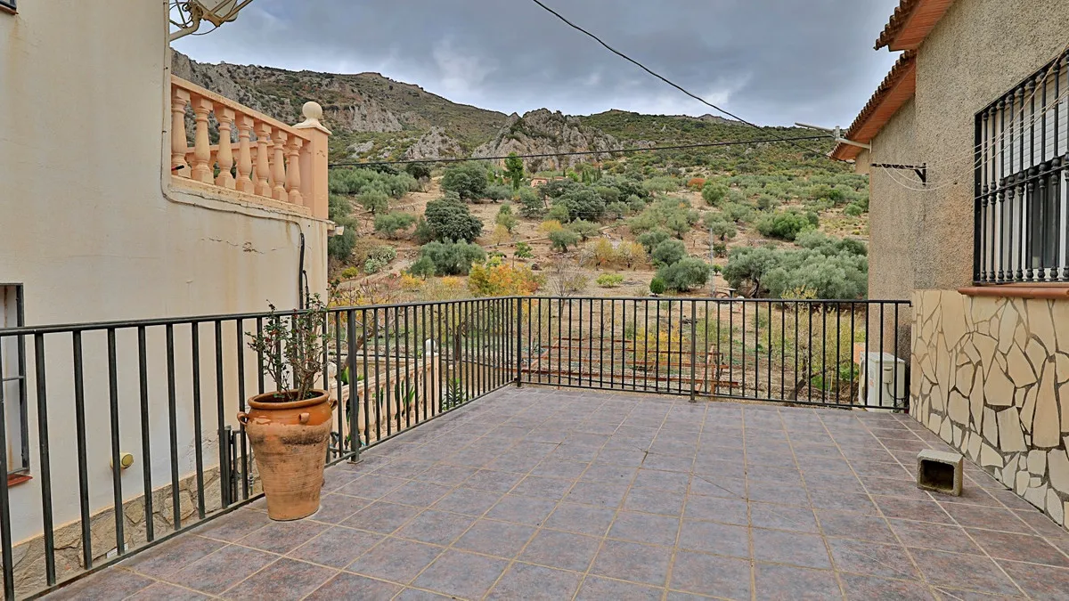 21c26c20-91e2-4dcb-815c-563ec2e7e44b