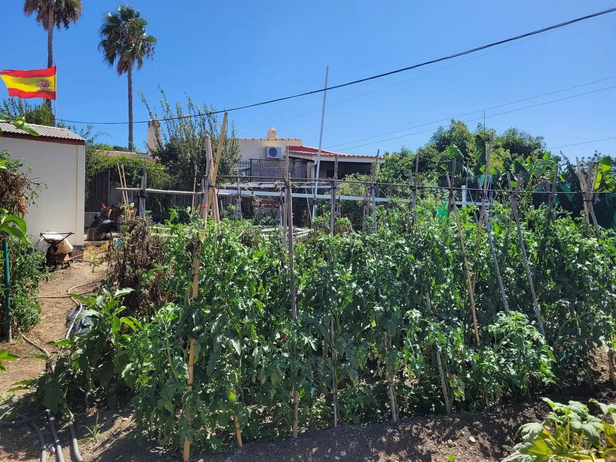 1930a0fb-76df-4151-aa18-e7ba4434fe81