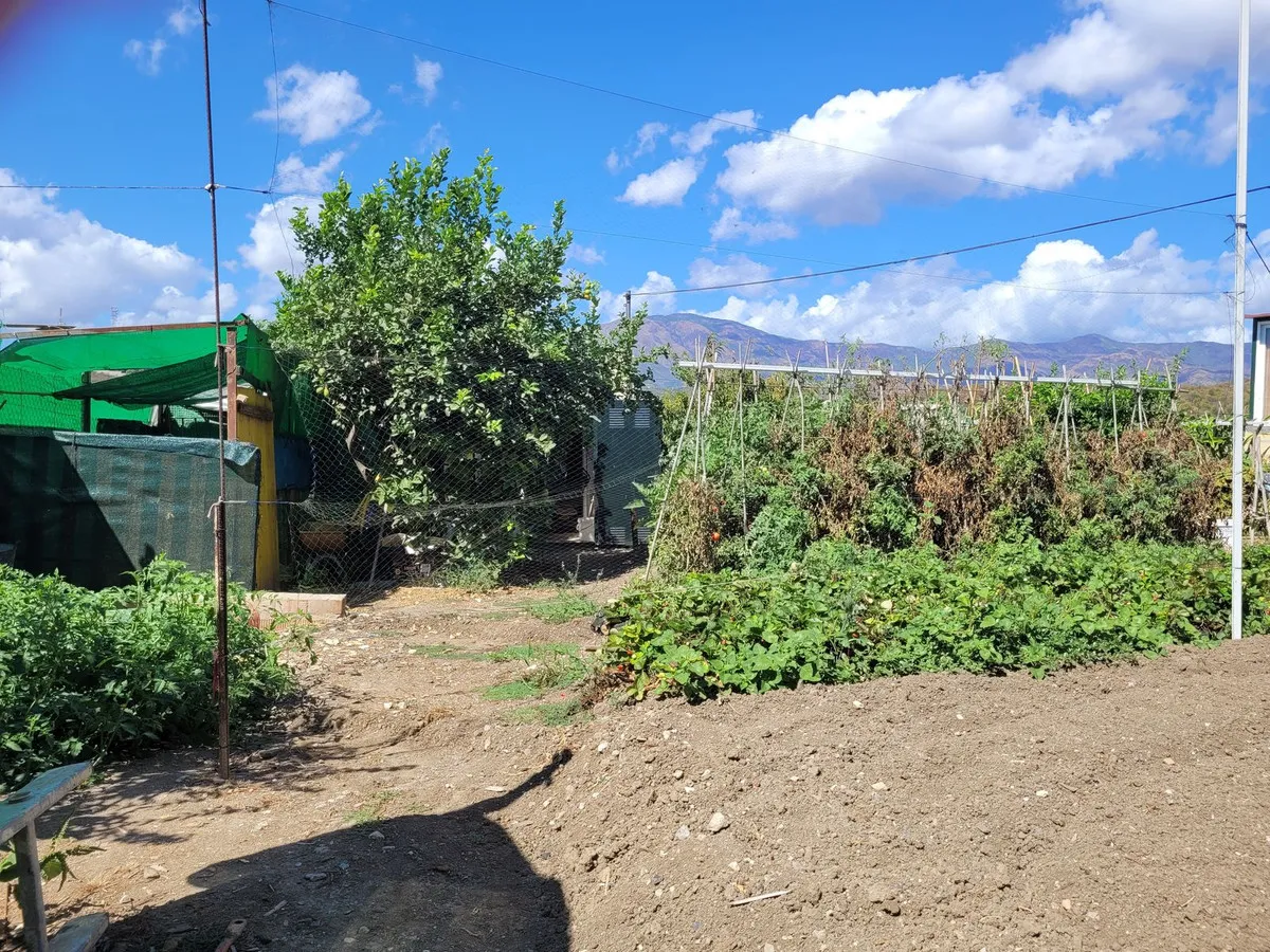 5045c652-c94d-4171-b6d3-f53fa9aded0b