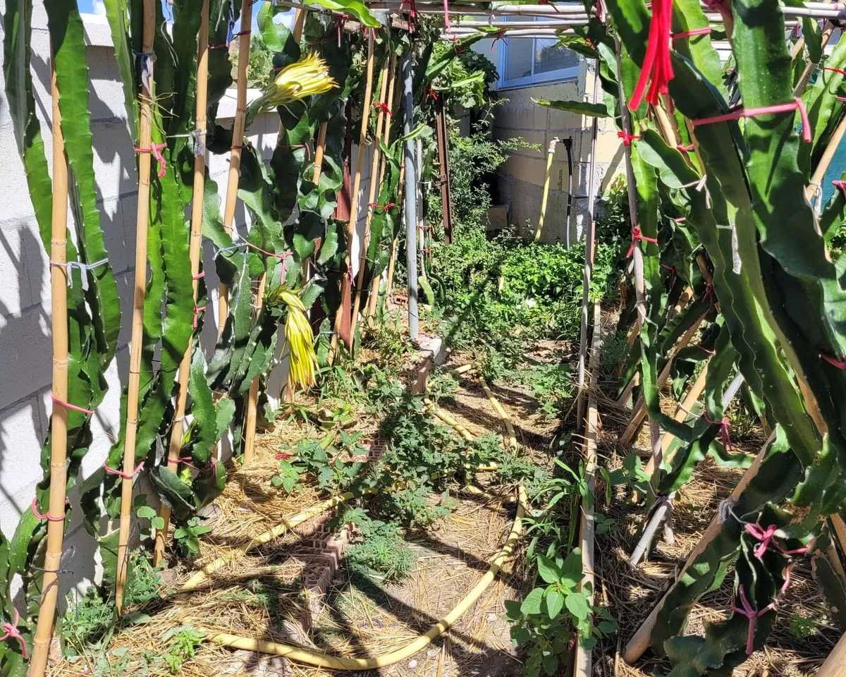 ca1785cd-56a1-4a77-8b36-e9063fd27c39