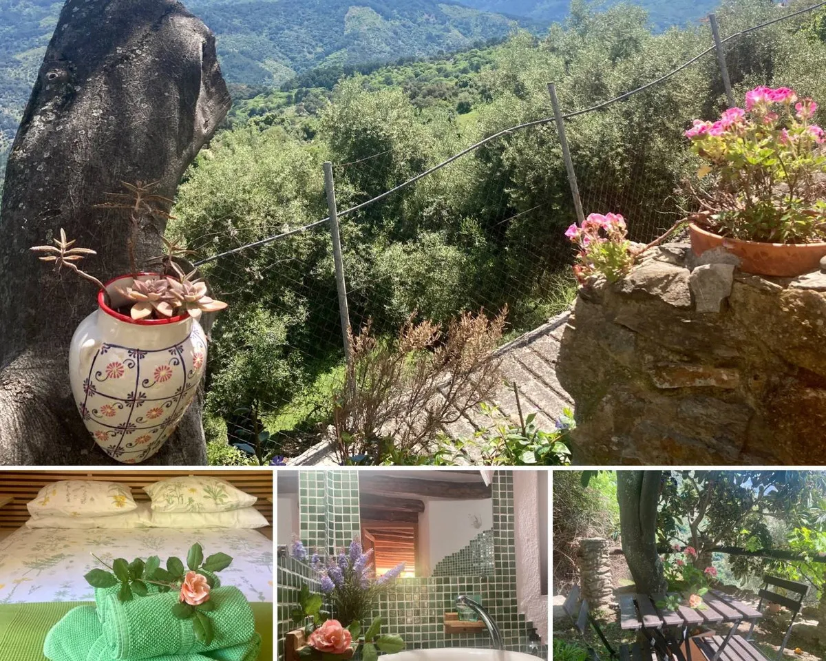 4b401910-261e-42ec-8780-c179a757437b