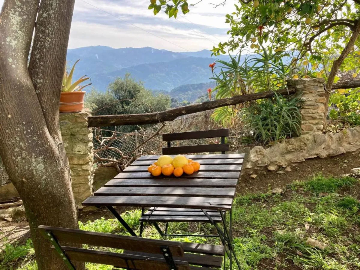 acc30ca2-bff1-4491-a456-d2e0d7f6a59d