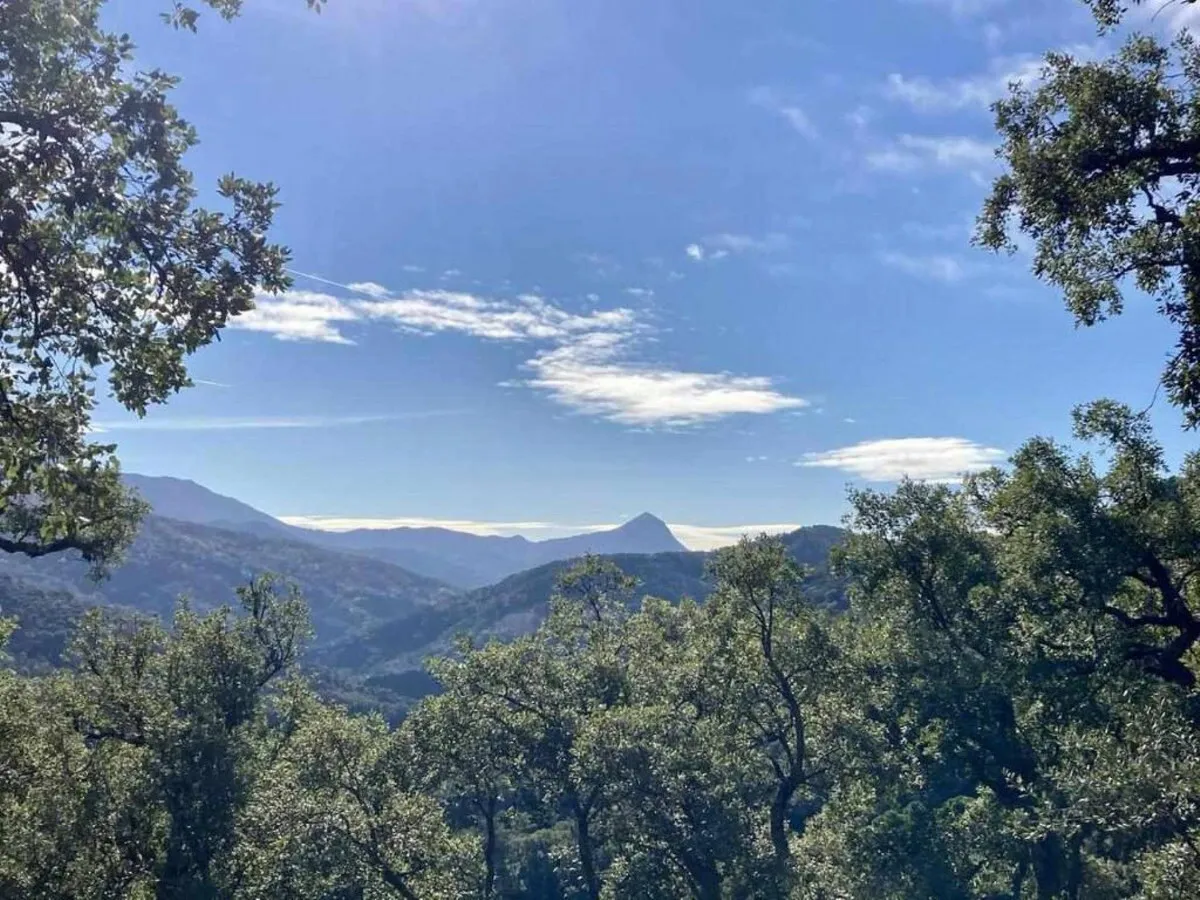 adf90a81-8cf4-40c6-bef5-46c7741b5e1e