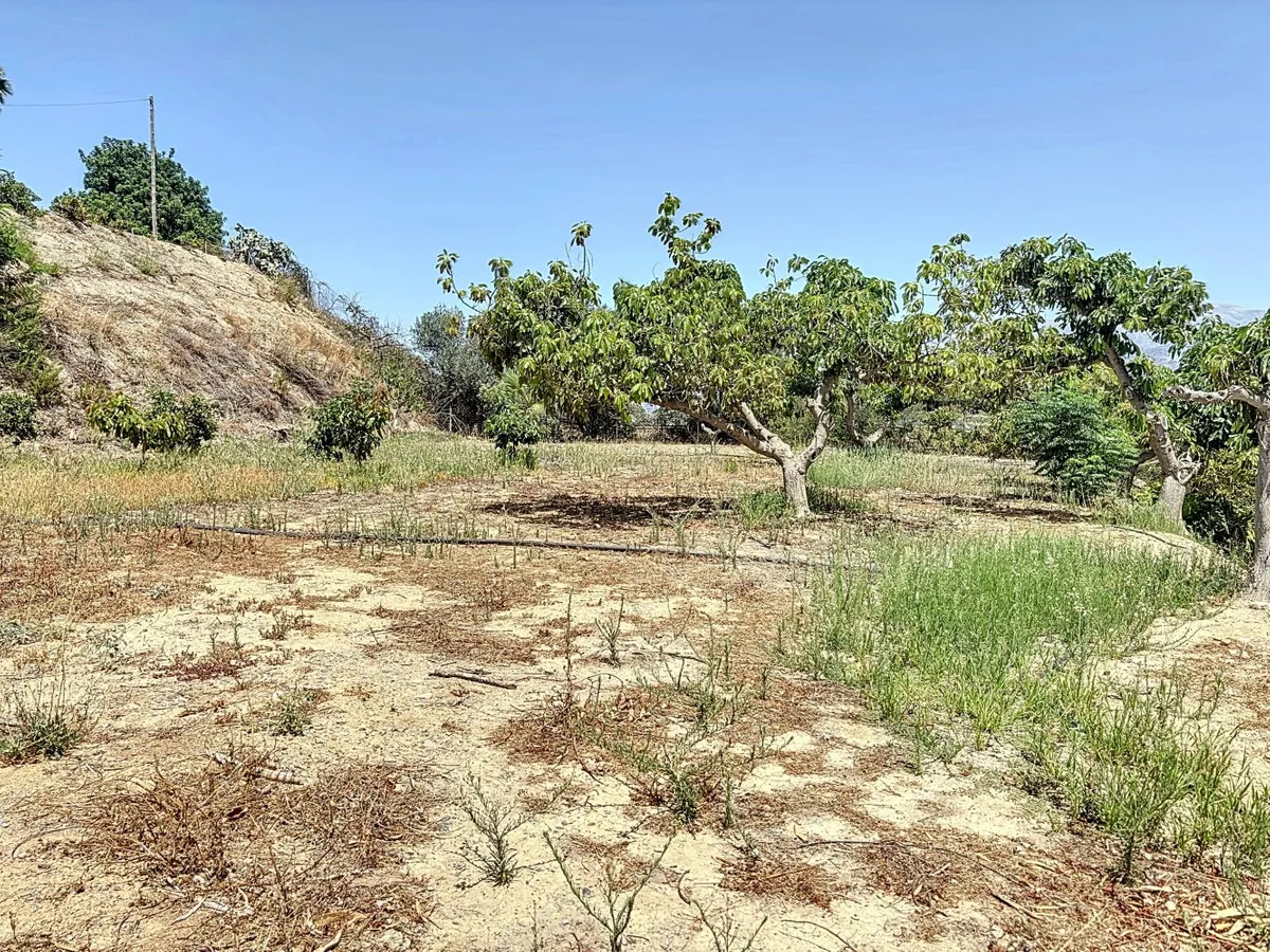 e48c344e-cc76-4676-ae3b-e77272e548ba