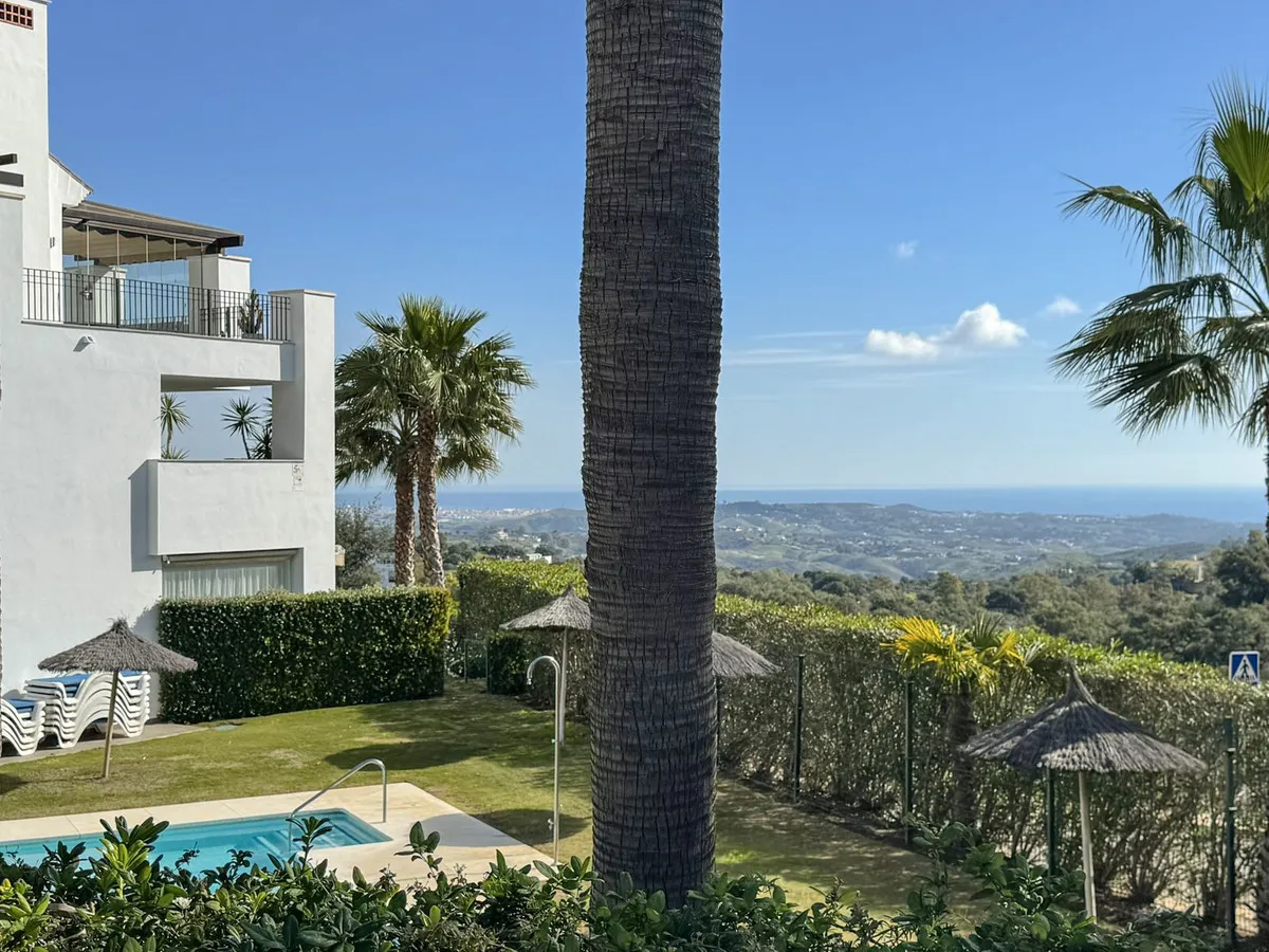 f7b66472-9198-43af-8e82-9689e1545b53