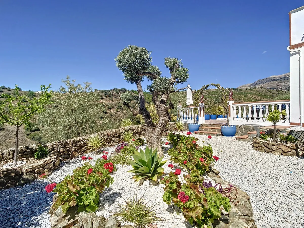 6ae6d5d3-f1d6-4f0e-8740-3240049b6402