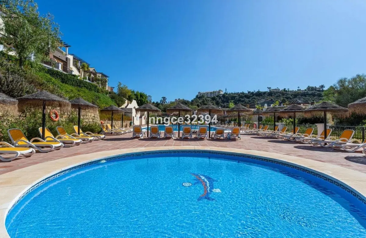 c80f413b-fefc-43f8-89c0-bb49b24184d4