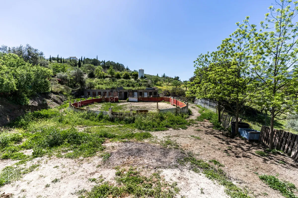 2892015b-4154-4359-8916-8befcba80a20