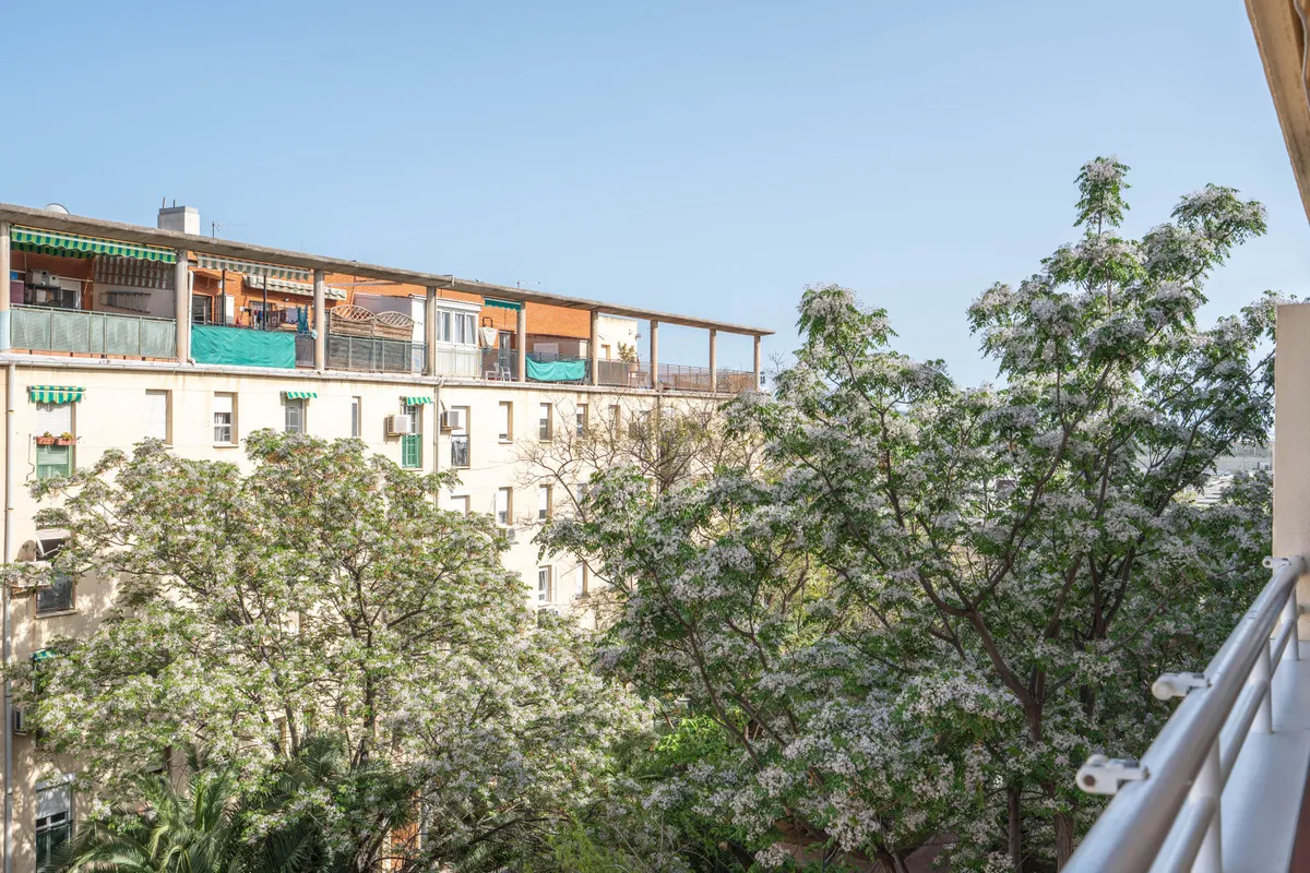 857d06bc-fb18-4be4-b0ea-a63f09b8e46c