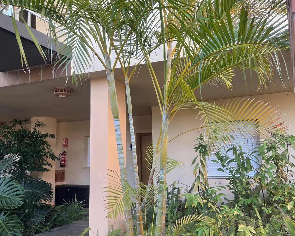 b2caf6b6-c716-4aca-b9a4-ffacd311a034