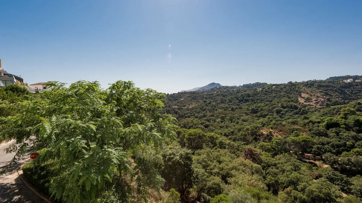 924568a2-cc5e-4b88-b046-af884ef67fa7