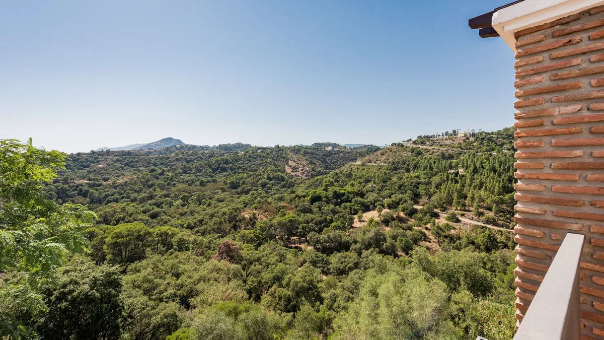 96b1b197-7f08-4f73-a736-bc23003a009f