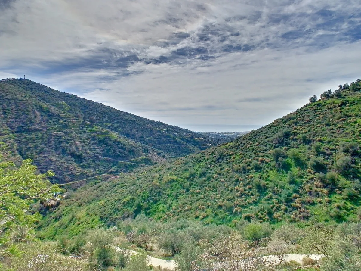 47738694-e31c-482d-bf8e-ad685b161981