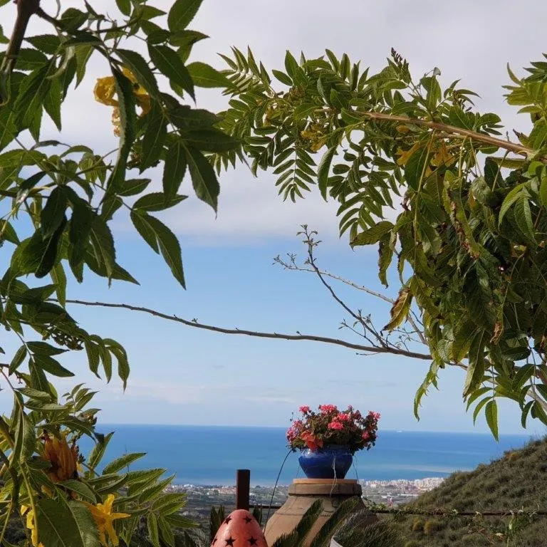 6a6ed01d-c77b-40f3-9151-21e8af2f8481